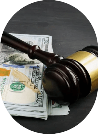 Complete hand-holding and guidance